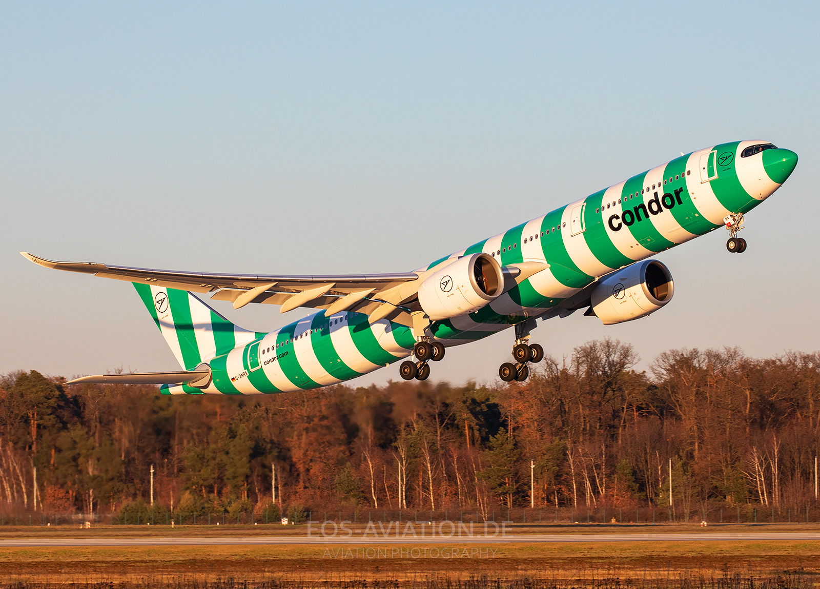 Condor Stripes Holiday A330neo Neo Takeoff Frankfurt Airport Sunset D-ANRA